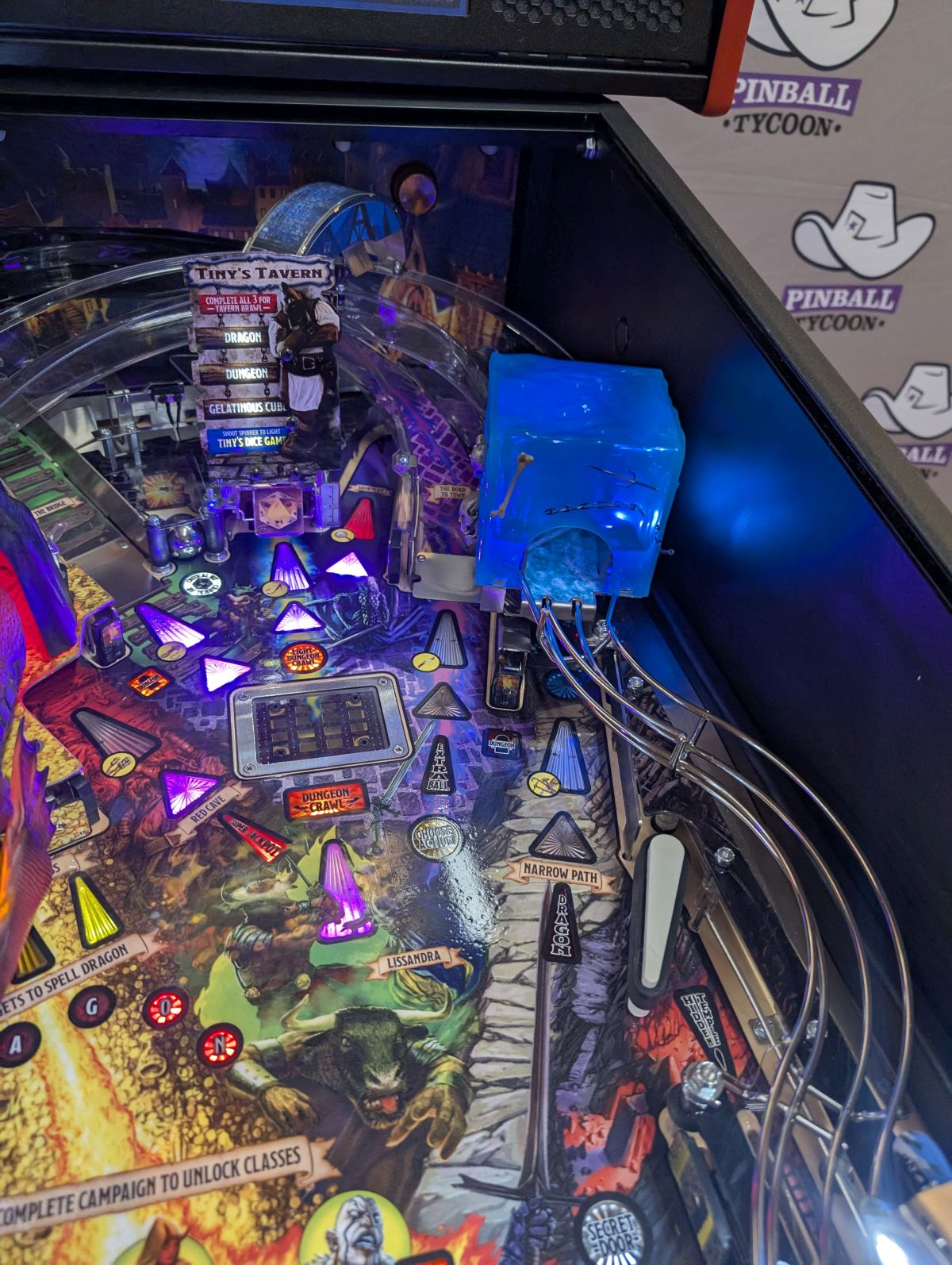 Dungeons & Dragons (Premium Edition) Pre-Played