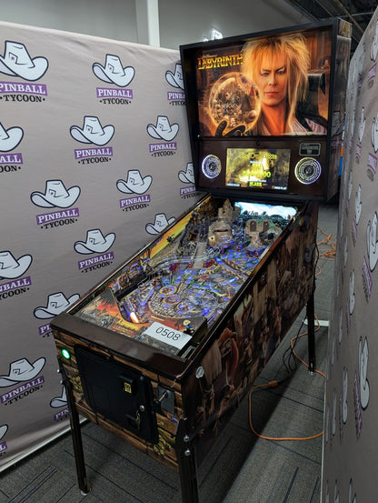 Labyrinth (PrePlayed)
